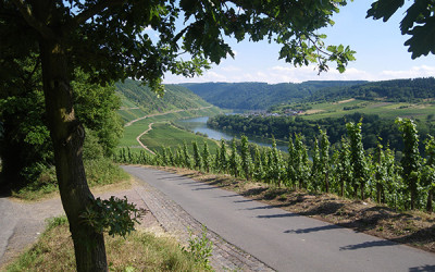 Pilgerreise zum Grab des Apostels Matthias
