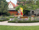 img 5918 20260704